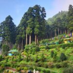 North Bengal Tourism H63O9Vwz6pw Unsplash 150x150