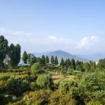 Delo Park Guest House Kalimpong 5 150x150