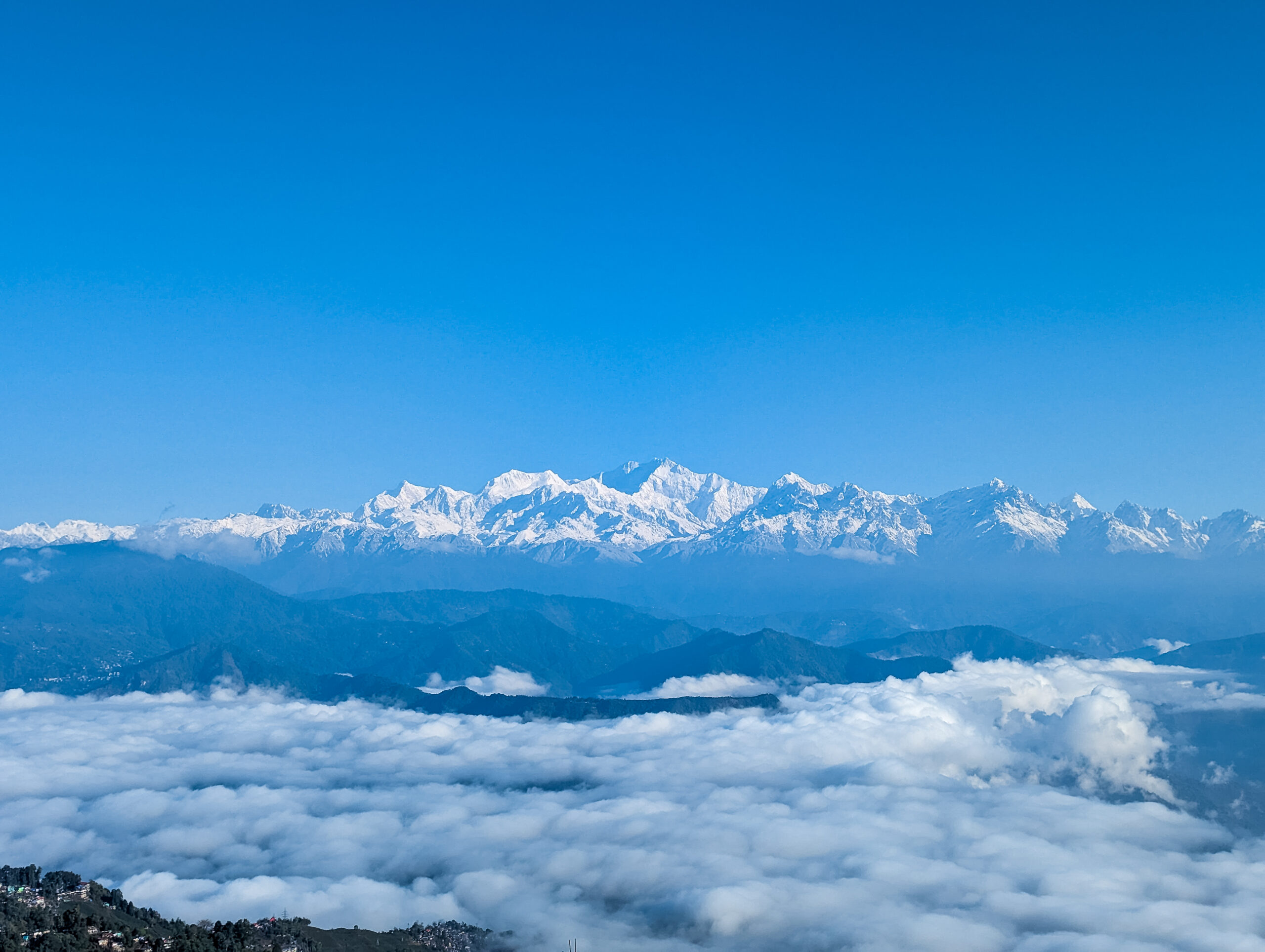 pxl 20240321 144622712.long exposure 28.cover rhododendron and kanchenzungha at spring at darjeeling west bengal india